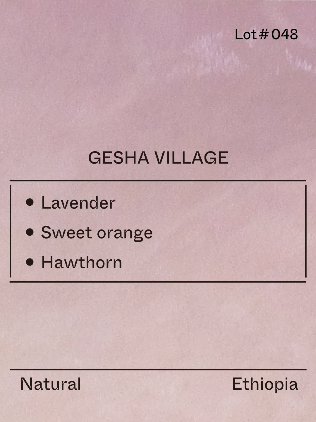 Ethiopia - Gesha Village, Gesha 1931 from Terraform Coffee