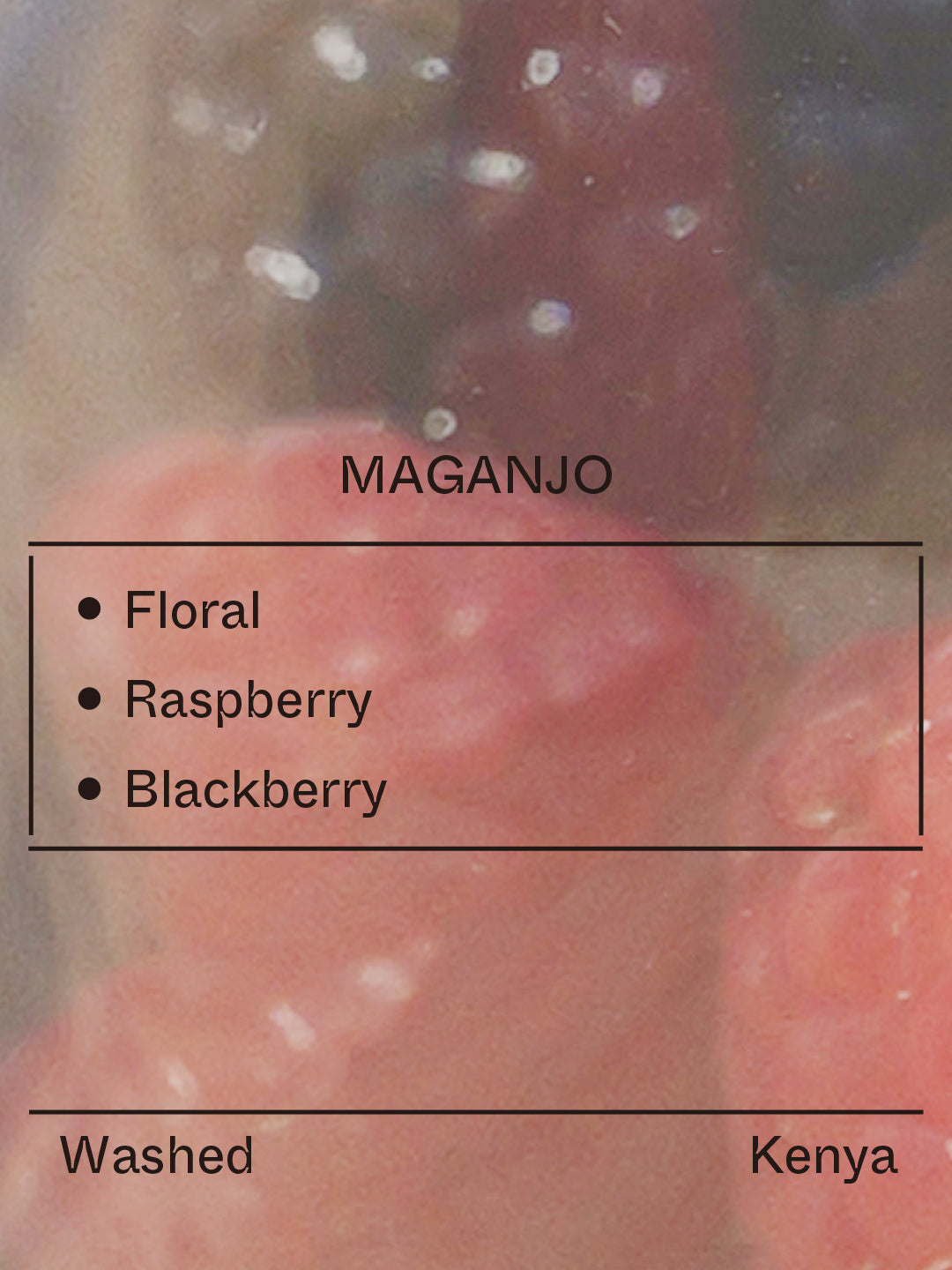 Maganjo, SL28 & Ruiru11 from Terraform Coffee