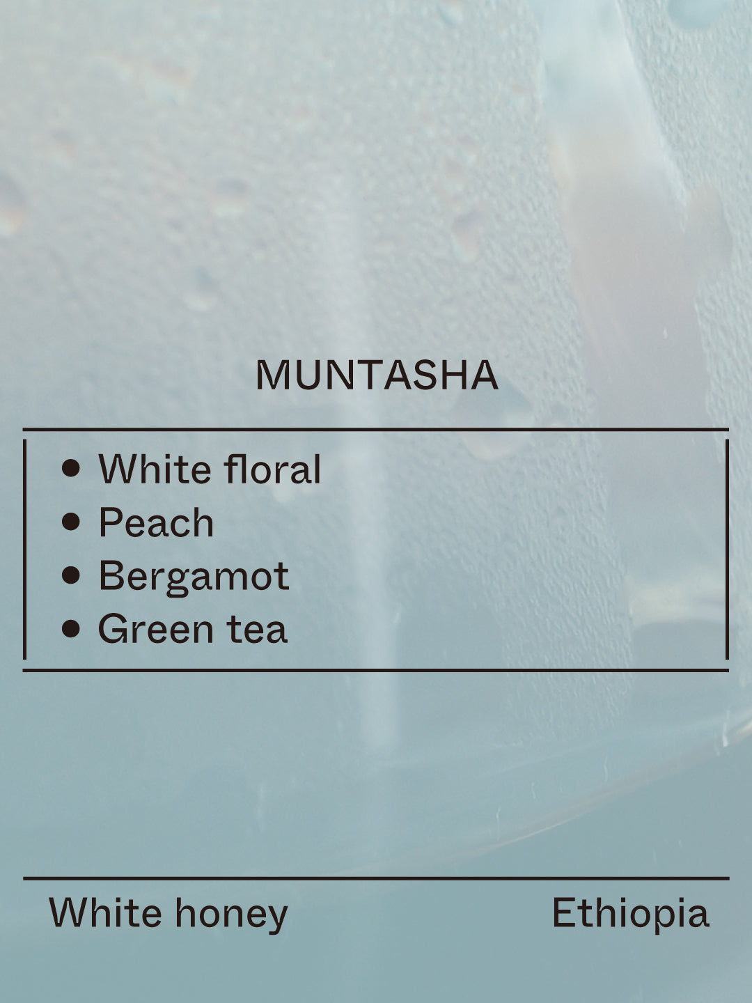 Muntasha, 74158 from Terraform Coffee