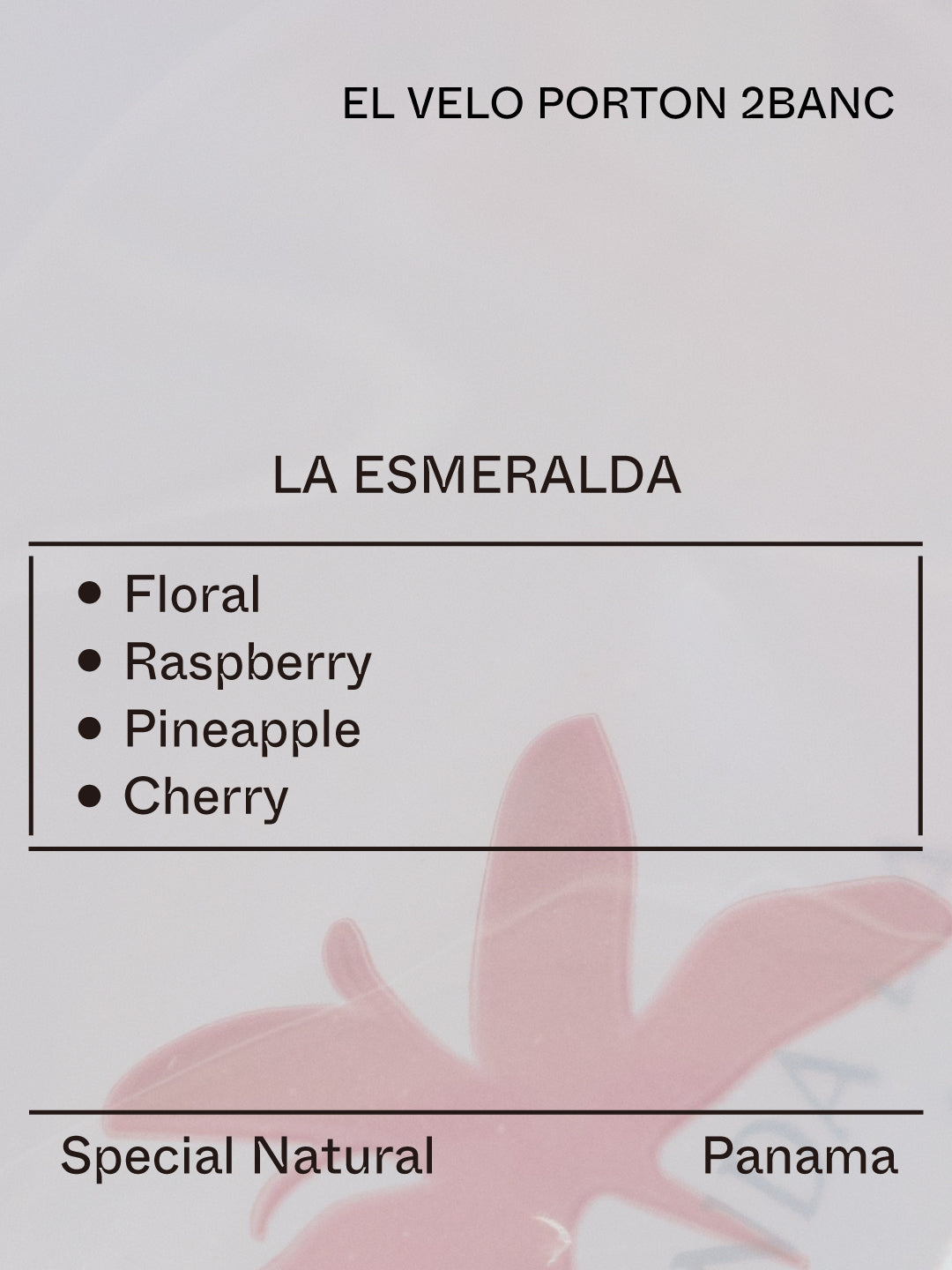 Panama Esmeralda - Gesha, 2BANC from Terraform Coffee