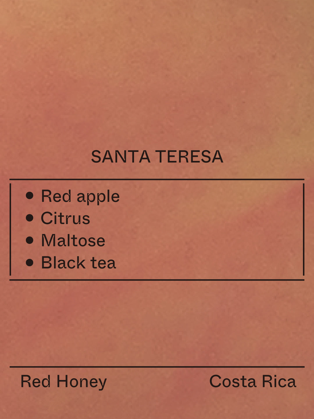 Santa Teresa, Typica Mejorado from Terraform Coffee