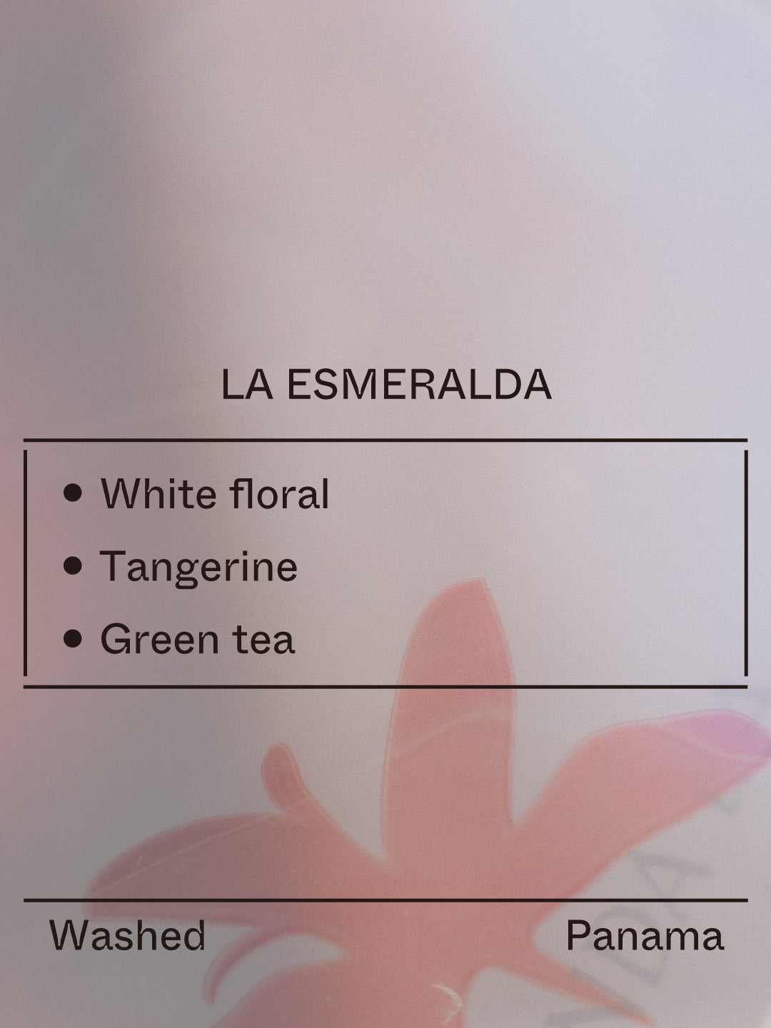 Panama - La Esmeralda, Ethiopian Landrace from Terraform Coffee