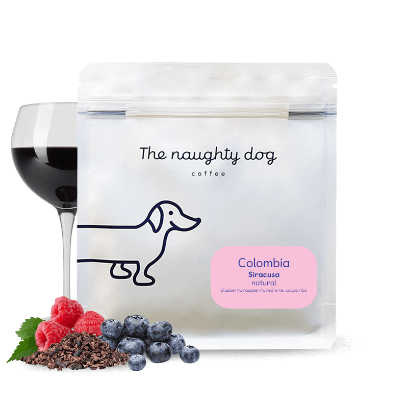 Siracusa from The Naughty Dog