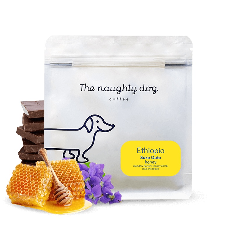 Suke Quto from The Naughty Dog