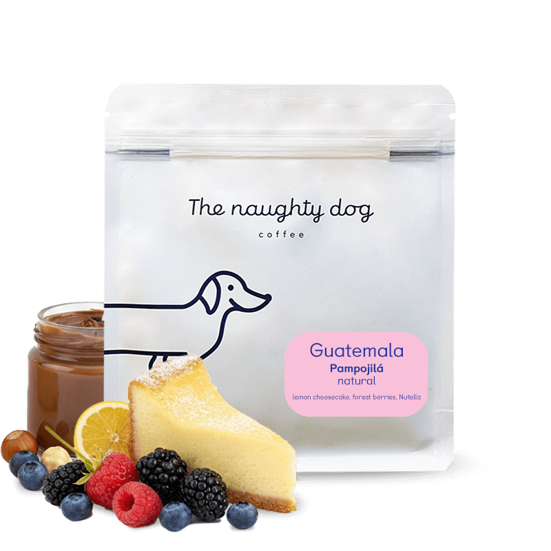 Guatemala Pampojilá from The Naughty Dog