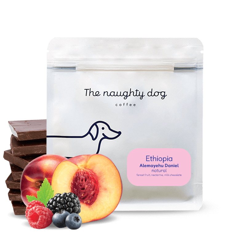 Alemayehu Daniel from The Naughty Dog