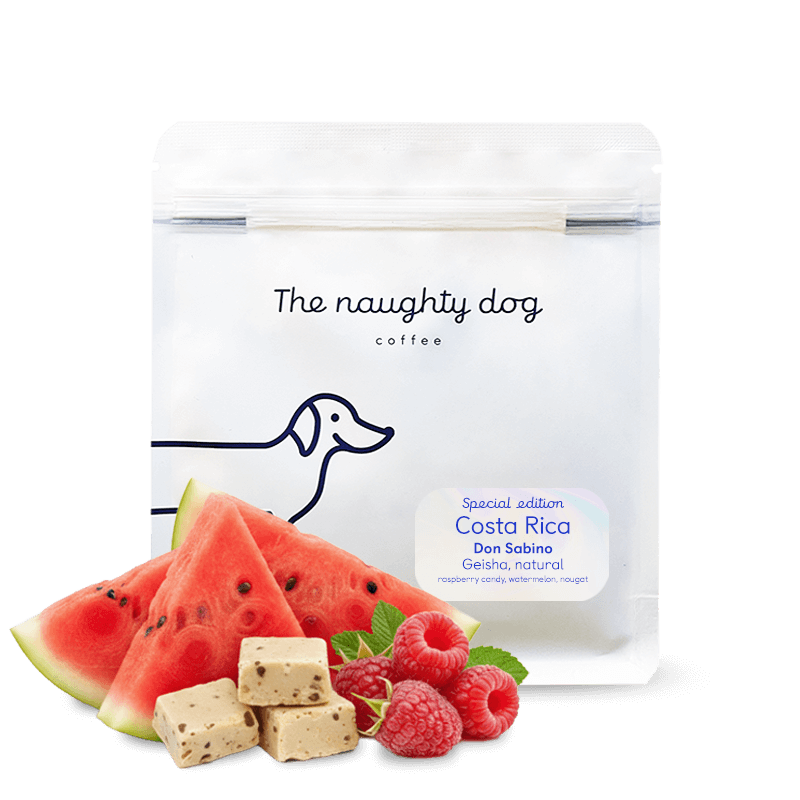 Don Sabino from The Naughty Dog