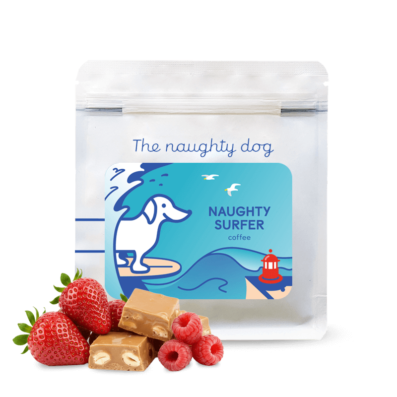 Naughty Surfer from The Naughty Dog