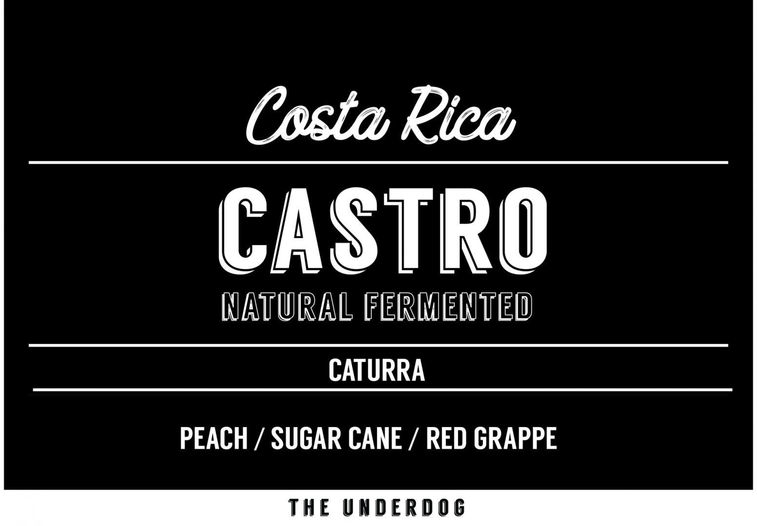 Castro Especial from The Underdog