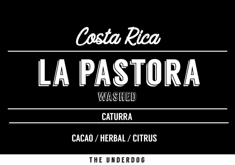 Costa Rica, La Pastora from The Underdog
