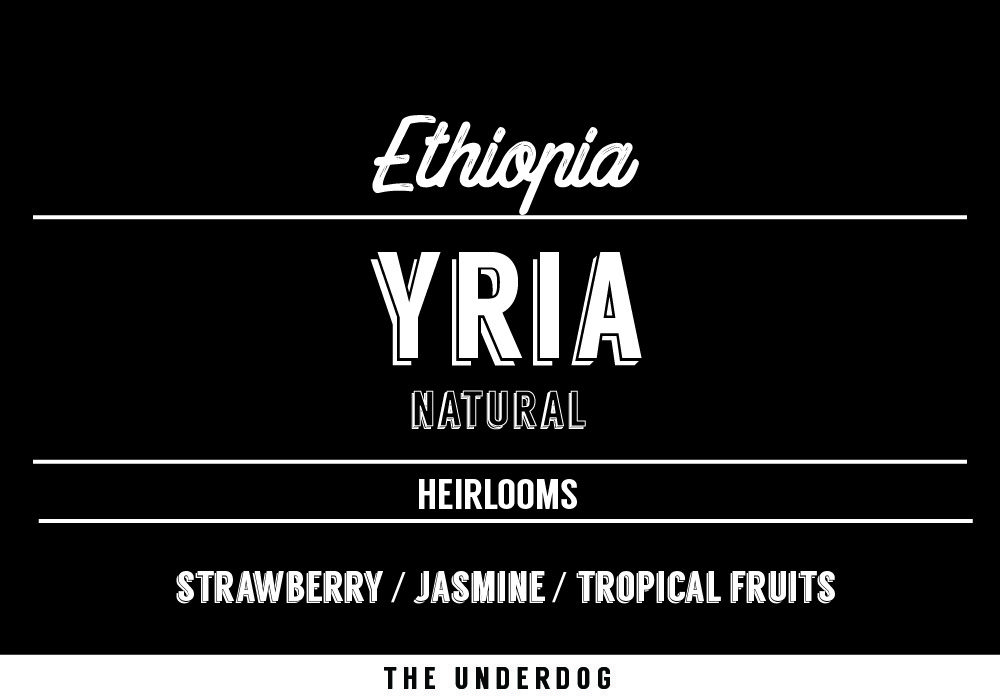 Ethiopia, Yria from The Underdog