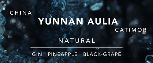 China Yunnan Aulia Catimor Natural from Vibe With Coffee Roastery