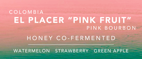 El Placer "Pink Fruit"- Honey Co Fermented from Vibe With Coffee Roastery