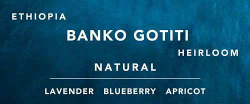 Ethiopia Banko Gotiti Natural from Vibe With Coffee Roastery