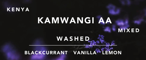 Kenya Kamwangi AA Washed from Vibe With Coffee Roastery