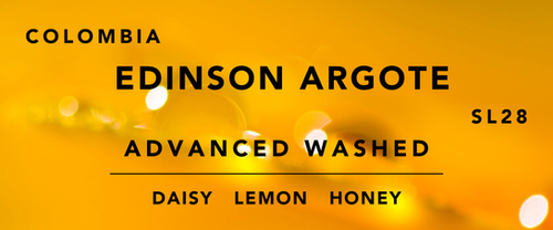 Edinson Argote SL28 Advanced Washed from Vibe With Coffee Roastery